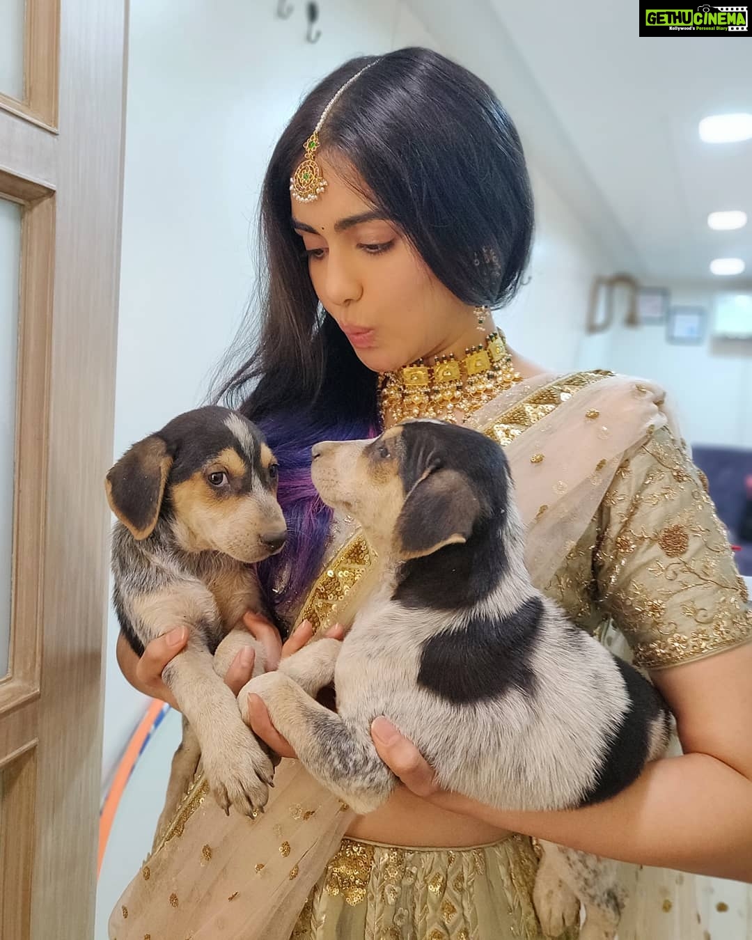 Adah Sharma Instagram - Tag someone who loves Puppieeeessssssss ππππππΆπΆπΆπΆπΆπΎπΎπΎπΎπΎπΎπΎπΎ . . Behind the scenes at the dabur vatika shoot Wearing @kalkifashion styled by @juhi.ali makeup @siddheshnakhate hair @snehal_uk