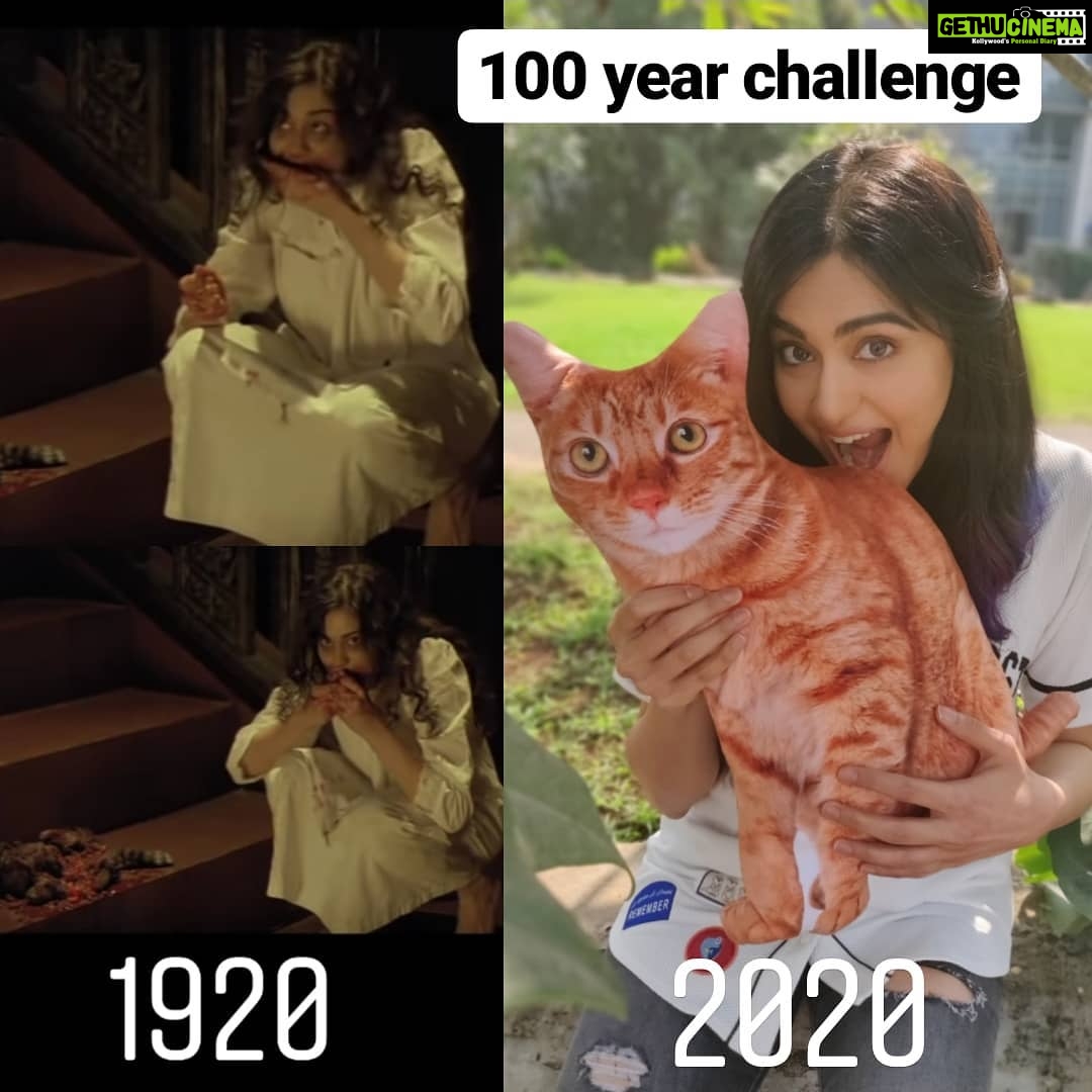 Adah Sharma Instagram - From 1920 to 2020 (taking creative liberty of going into the future by a year) so much has changed , but I was ,am and will always be a vegetarian . So then , and now me eating a stuffed नकली billi @adah_ki_radha . Movies have allowed me to have lived for a hundred years already 👻how lucky am I 💃!!!! . . Very often I'm asked what I was eating so deliciously in the cat scene in 1920. It was noodles, plum cake , ketchup, fake blood, black raisins . All mixed up 🤢🤢🤢 #10yearchallenge