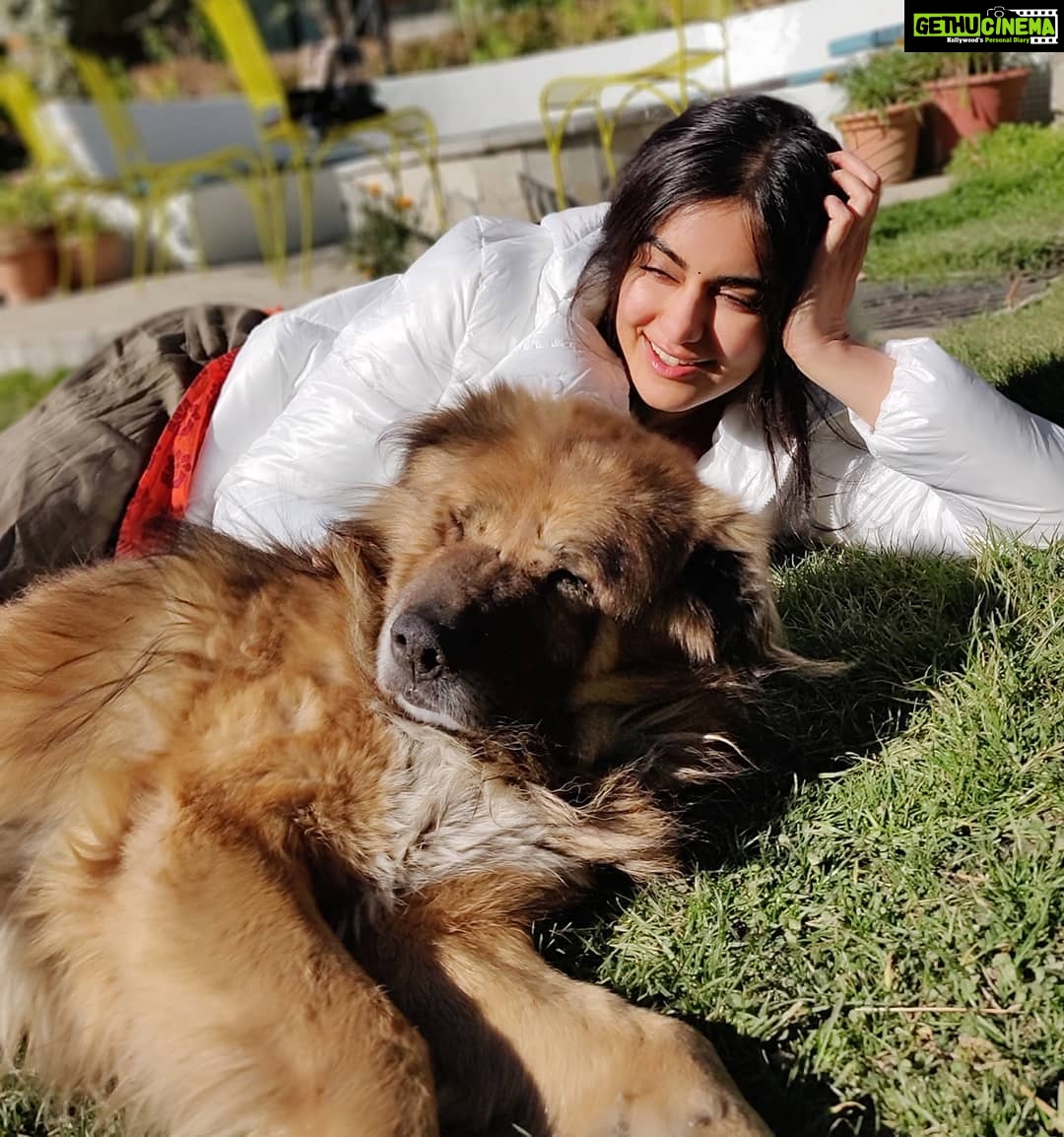 Adah Sharma Instagram - The Khan in my life ! Meet SherKhan ! Love has happened πππ we're twinning also ! #twinning #couplegoals . . I've been getting a lot of calls after the news of the landslide.. wanted to tell all of you we are all safe and no one(from our unit or anyone)was injured .We were stuck in the car for 18 hrs though as the NH was shut which was painful but all well now and we are shooting too β€οΈβ€οΈ Pic @snehal_uk Manali, Himachal Pradesh