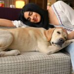 Adah Sharma Instagram – Let sleeping bitches lie 🤫😴😁
Want to know about mera waala pyar?  @erosnow bata hi do ! 
#AisaWaisaPyar #ErosNow 
.
.
#100YearsOfAdahSharma #adahsharma