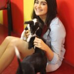 Adah Sharma Instagram - Muahhh to all of u for the very sweet animal love messages on my previous video post 😍👌😘 makes me really happy that there r so many of us 🤗🤗🤗 the stray dogs say thank u ❣️