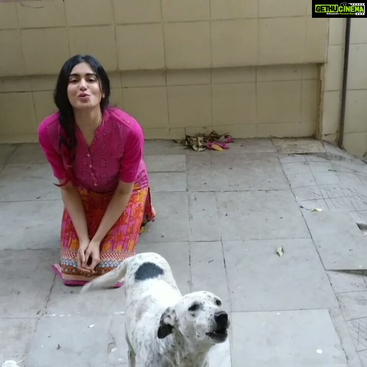 Adah Sharma Instagram - Tag someone who loves animals 😍 This is Shaanti complaining about humans who try to play holi with her ... . Translation : Stray dogs do not want to play holi with you 😒 Animals get rash and skin allergies with the colour ,nasal and eye irritation.they could even go blind and die if they lick some toxic colour off of themselves . so enjoy and play with other humans (friends ,family,neighbours who want to play with you...ask) HAPPY HOLI !!have fun!!💜💛💚💙❤ #spokespersonfordogs