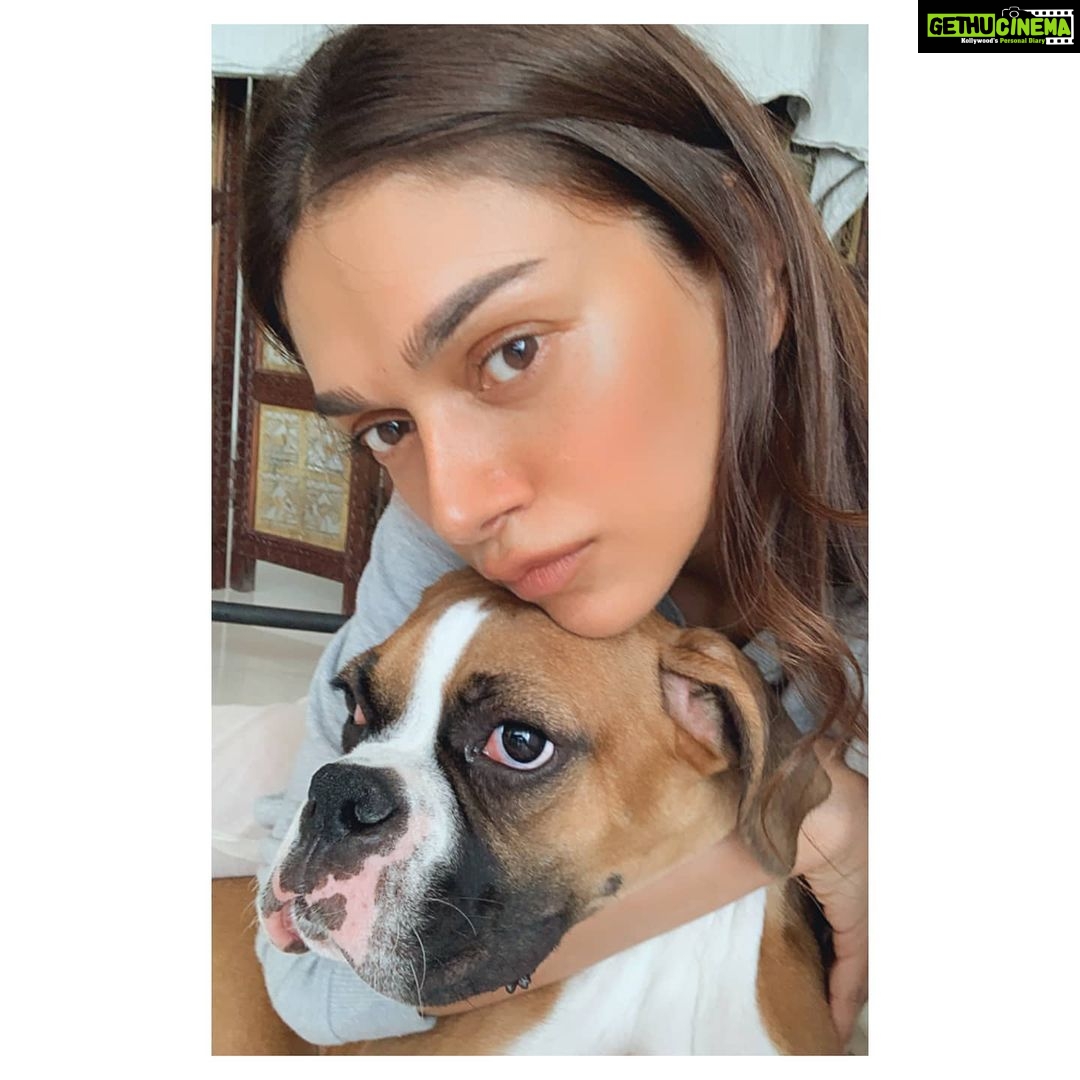 Aditi Rao Hydari Instagram - chipkoo puppy #Gigi 🐶