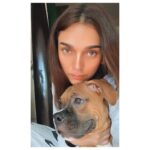 Aditi Rao Hydari Instagram - HRH #Zoe 🐶