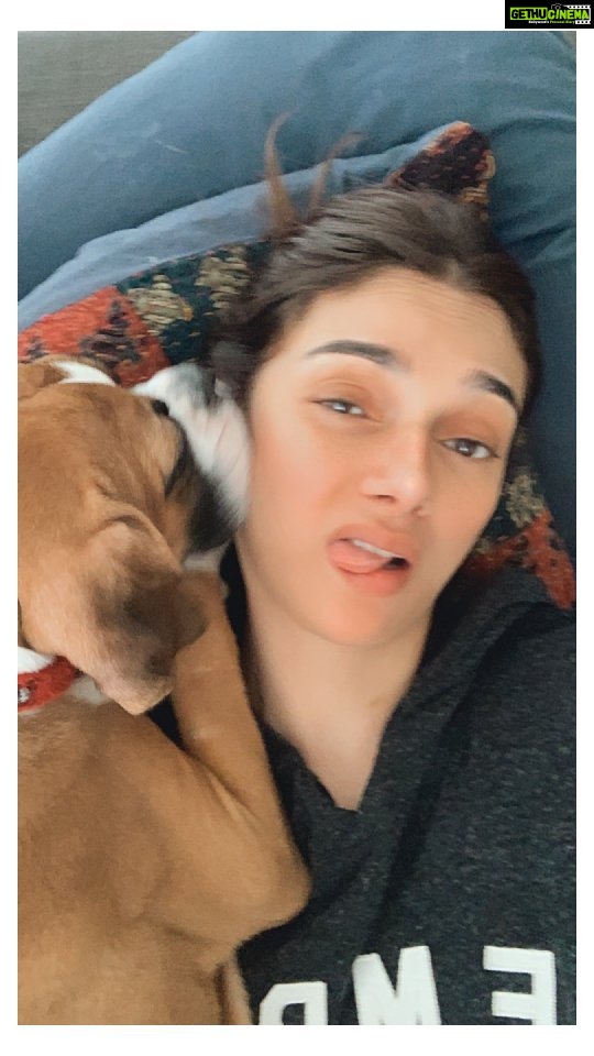 Aditi Rao Hydari Instagram - Snack? Nah! Gigi thinks Iām ice-cream š