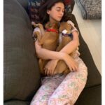 Aditi Rao Hydari Instagram - My girlies... 🤍🤎 #ZoeAndGigi #cuddlenazi #majormissing #puppylove #boxersofinstagram