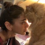 Aditi Rao Hydari Instagram – When peaches says believe. And it will be everything we dreamt of 
🤍
#catsofinstagram #believe #magic