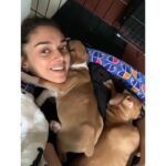 Aditi Rao Hydari Instagram - In the dog house with Zoe and Gigi. Lockdown for real starring my face as a mattress