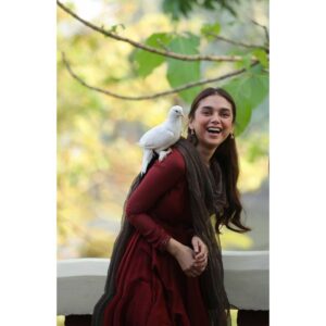 Aditi Rao Hydari Instagram - Everytime I set it free, it came right back... 🤍
#TrueLove #SufiyumSujatayum