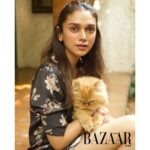 Aditi Rao Hydari Instagram – Presenting The Rani of Garam Pani – HRH Peaches 👑 (Cuddles are grumpily granted)

#Disapproval101 #TwoForJoy #BazaarIndia