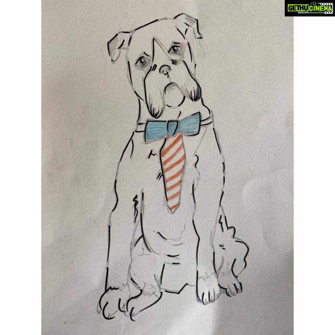 Aditi Rao Hydari Instagram - Thank you @farahkhankunder and little Anya for my Frodo’s portrait ❤️ Anya is selling her pet sketches to feed stray animals and the homeless during this crisis. Help her help them ❤️