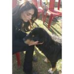 Aditi Rao Hydari Instagram – Please please please don’t abandon your pets. 
Dogs and cats don’t spread corona. They love you unconditionally and deserve all of your love. 
#BeKind #HealTheWorld