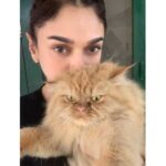 Aditi Rao Hydari Instagram - That Monday face 🐱 #MondayMood