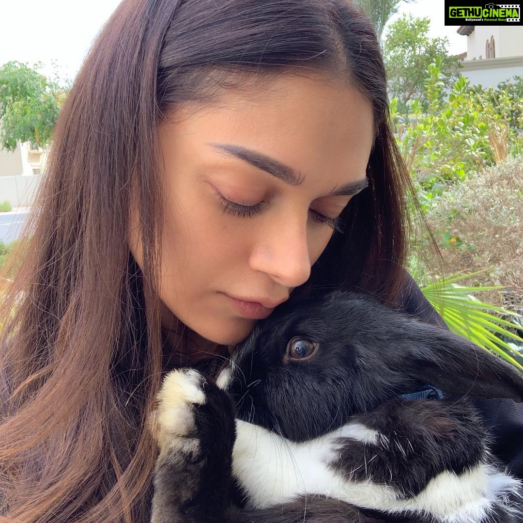 Aditi Rao Hydari Instagram - Something’s just fill your heart without trying.... ♥️ ps- this munchinks name is carrot 🥕 cake 🎂 Dubai, United Arab Emirates