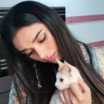 Aditi Rao Hydari Instagram - When people tell me they don't like cats... I think they must be cray I love their dignity, their devil may care attitude, their pawsome ability to be so purrfectly poised ... They purr their way into my heart every time I find a little stray and I always want to take it home! Happy international cat day all you furballs, and wish you luck in your purrsuit of happiness in all your 9 lives