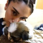 Aditi Rao Hydari Instagram - Animals, babies and baby animals... perfect therapy for awful days and mean people... ❤️❤️❤️❤️❤️ #puppylove #purelove #littlevisitor #therapy #cuddles