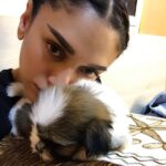 Aditi Rao Hydari Instagram – Animals, babies and baby animals… perfect therapy for awful days and mean people… ❤️❤️❤️❤️❤️ #puppylove #purelove #littlevisitor #therapy #cuddles