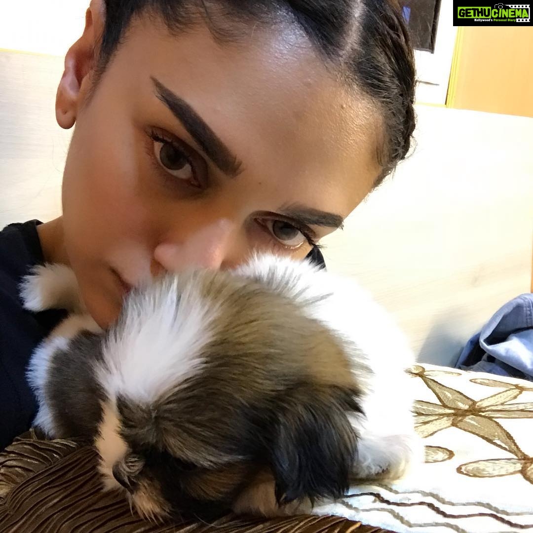 Aditi Rao Hydari Instagram - Animals, babies and baby animals... perfect therapy for awful days and mean people... ❤️❤️❤️❤️❤️ #puppylove #purelove #littlevisitor #therapy #cuddles