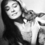 Aditi Rao Hydari Instagram – Happy birthday #audreyhepburn #timeless #inspiration #beautifulinsideandout