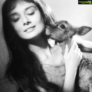 Aditi Rao Hydari Instagram - Happy birthday #audreyhepburn #timeless #inspiration #beautifulinsideandout