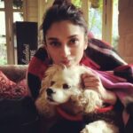 Aditi Rao Hydari Instagram - Manali cuddle with Tango... 🤗#furryfriend #dogsofinstagram #cuddlenazi #brrrrrrrrrr ❄️ #cutiepatootie #manali Thank you for you stellar Dop skills anushki @anushka_09 🤪 The Johnson's Cafe & Hotel, Manali