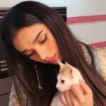 Aditi Rao Hydari Instagram – This #WorldAnimalDay, spread some cuddles…spread joy! 🐱😘❤ Pl let’s do our bit against animal cruelty….
And oh! meet my little purring friend from set… #furryfriend #kittycat #unconditionallove