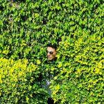 Akshay Kumar Instagram - #Kesari has released... So I'm hiding in the bushes 😉 Catch me if you can in cinemas Worldwide🧡
