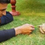 Akshay Kumar Instagram – Sometimes all you need to do is kick off your shoes, lie down on the grass and feed a tortoise. #NewFriend #ChillScenes