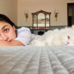 Alia Bhatt Instagram - IRL (in real life) 🐒