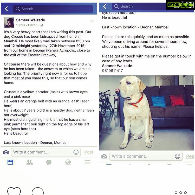 Alia Bhatt Instagram - Just stop for a second and please share this with everyone you know!!!