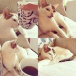 Alia Bhatt Instagram - Good morning Sheeba ! sorry getting your coffee wrong :)