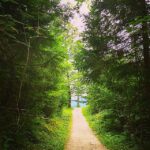 Alia Bhatt Instagram - Walking through wonderland! #bestworkout #detox @shaheenb