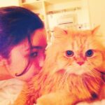 Alia Bhatt Instagram – My best friend !!! #beautifulcat