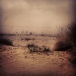 Alia Bhatt Instagram - The desert !!