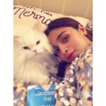 Alia Bhatt Instagram – like mother like cat 🙎‍♀️🐱