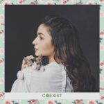 Alia Bhatt Instagram - Be kind to every kind! #internationalcatday #letscoexist 🤞🐱