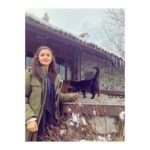 Alia Bhatt Instagram - बिल्ली जहाँ... मैं वहाँ 🙋🏻‍♀️