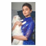 Alia Bhatt Instagram - MOTHER OF CAT 👑