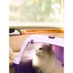Alia Bhatt Instagram - window seat 😼