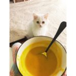Alia Bhatt Instagram - My sickness remedy? Some pumpkin soup and my little pumpkin 🎃👊 #animalsarethebest