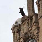 Amy Jackson Instagram - Ohhhh the irony, we could do with someone sorting this clueless government out but it’s ok Batman, the scousers have got this, Liverpool knows all about uniting through tough times 💪🏼 Thinking of my lovely city and all the local business owners who are effected by the lockdown #shoplocal #supportsmallbusinesses Liverpool Liver Building