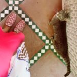 Amy Jackson Instagram - صديق جديد Marrakech
