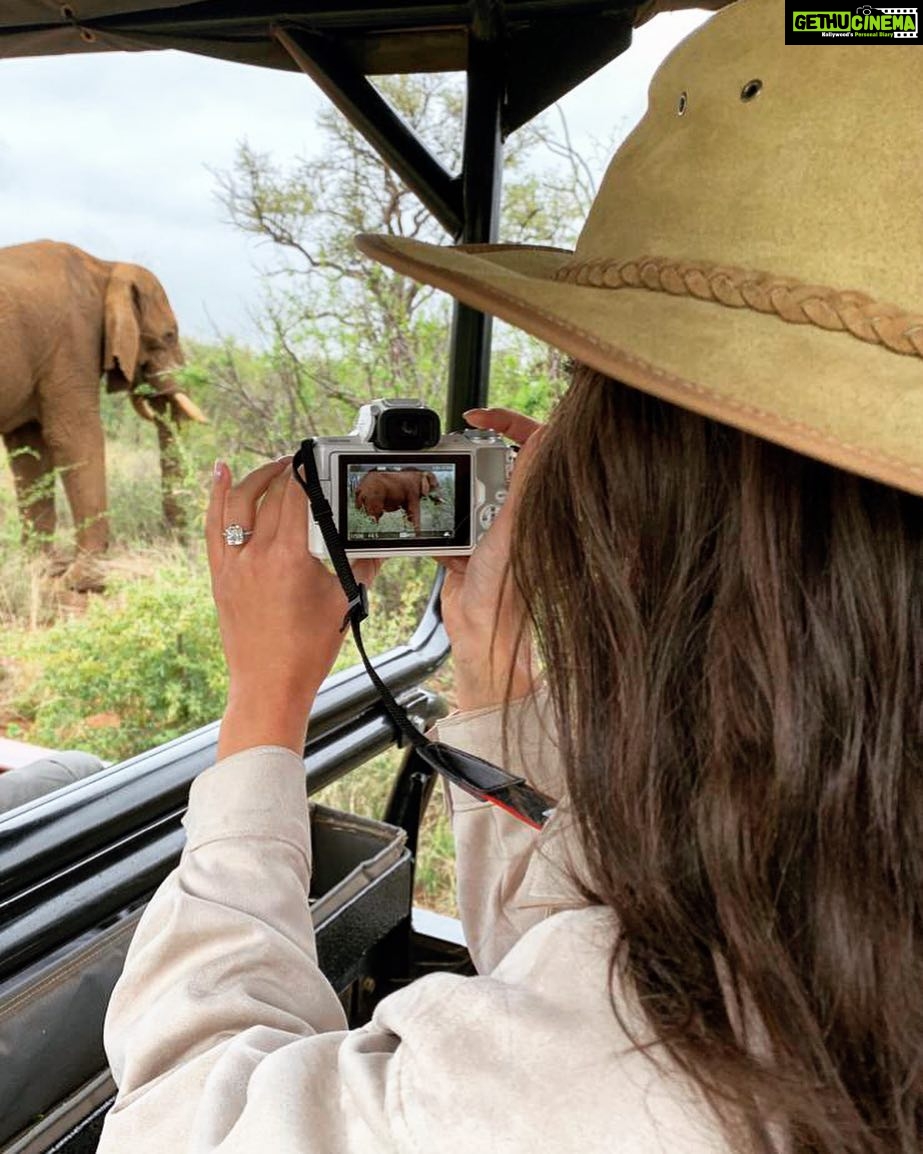 Amy Jackson Instagram - The most surreal 10 days... In every sense 🙏🏼✨ South Africa