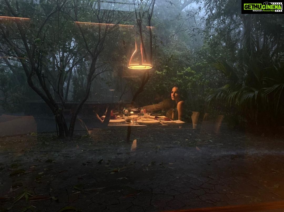 Angira Dhar Instagram - Wilderness and the rains ☕️ 📸 @karishmakohli