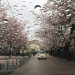 Angira Dhar Instagram - Rains so beautiful Higashi Chaya-Gai District 東茶屋街