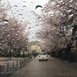 Angira Dhar Instagram – Rains so beautiful Higashi Chaya-Gai District 東茶屋街