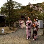Angira Dhar Instagram - #kimonodiaries Kiyomizu Temple, Kyoto, Japan