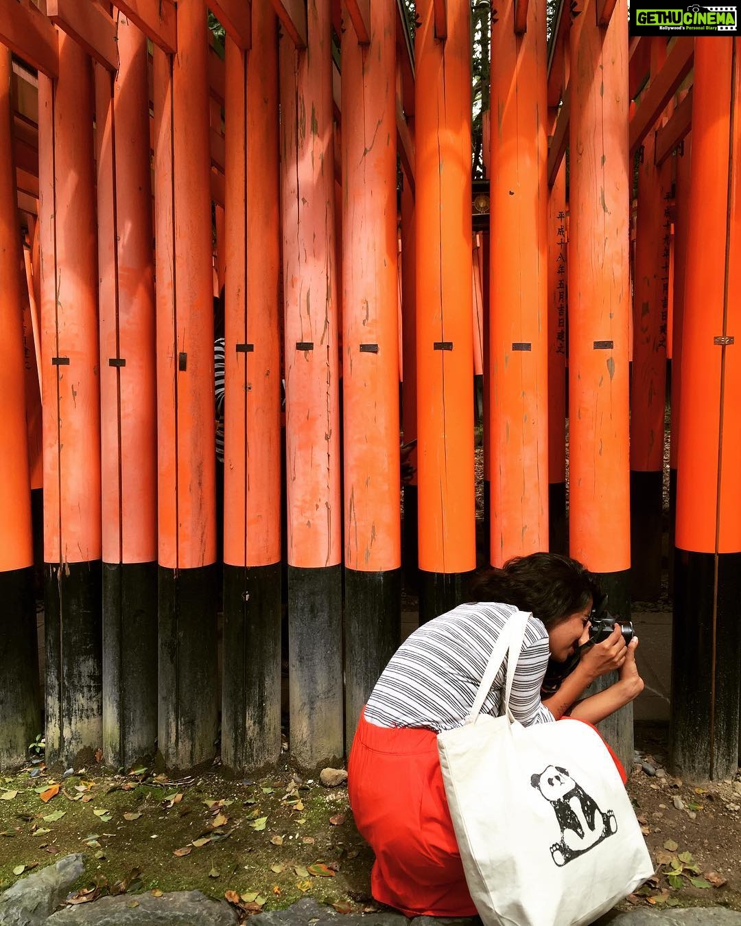 Angira Dhar Instagram - Crouching tiger hidden panda Fushimi Inari-taisha