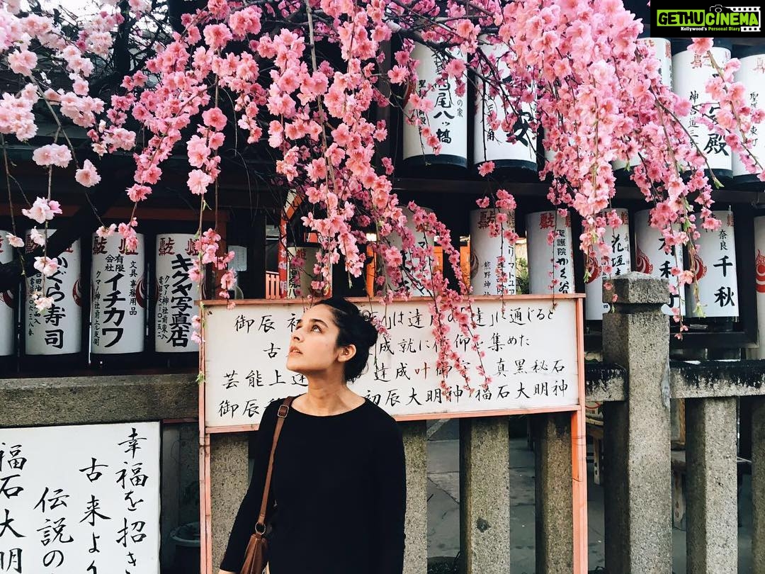 Angira Dhar Instagram - #sakura 📸 @arajayaram Kyoto, Japan