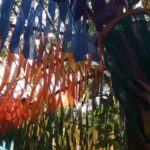 Angira Dhar Instagram – While in Goa with ur nut case of a roomie! This is what she cooked up❤️